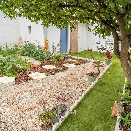 Independant L'orchidee Daire Lespignan